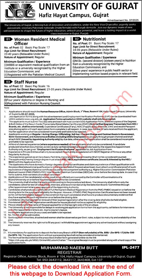 university of Gujrat jobs